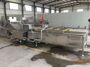 新一代休閑食品真空包裝袋氣泡清洗機流水線,帶漲袋浮,新一代休閑食品真空包裝袋氣泡清洗機流水線,帶漲袋浮生產廠家,新一代休閑食品真空包裝袋氣泡清洗機流水線,帶漲袋浮價格